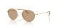 Giorgio Armani AR 6169 300263