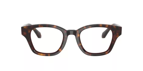 Giorgio Armani AR 7274 5879