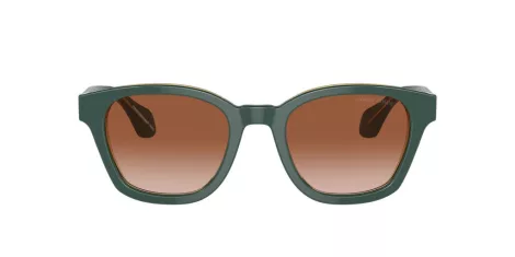 Giorgio Armani AR 8207 608613
