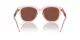 Giorgio Armani AR 8210U 6073C5