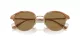 Giorgio Armani AR 8215 6067M4