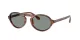 Giorgio Armani AR 8219U 616256