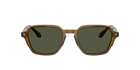Giorgio Armani AR 8220 617231