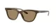 Giorgio Armani AR 8221 595753