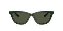 Giorgio Armani AR 8221 617331