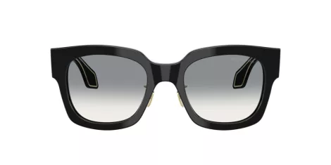Giorgio Armani AR 8223 500111