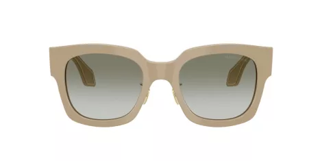 Giorgio Armani AR 8223 61618E