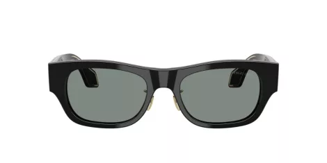 Giorgio Armani AR 8224 500111