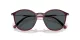 Giorgio Armani AR 8233U 6237L5
