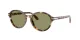 Giorgio Armani AR 8237 623214