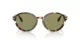 Giorgio Armani AR 8237 623214