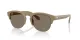 Giorgio Armani AR 8238 622273