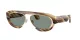 Giorgio Armani AR 8239 6065/1