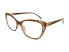 Berkeley BB 2022 Brown Berkeley BB 2022 Brown