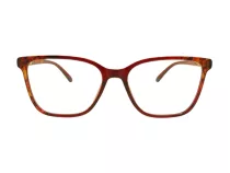 Berkeley BB 2026 Red