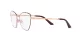 Dolce & Gabbana DG 1340 1351 Dolce & Gabbana DG 1340 1351