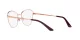 Dolce & Gabbana DG 1340 1351 Dolce & Gabbana DG 1340 1351