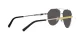 Dolce & Gabbana DG 2288 1313/87