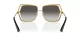 Dolce & Gabbana DG 2306 02/8G