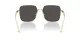 Dolce & Gabbana DG 2310 02/87