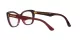 Dolce & Gabbana DG 3360 3247
