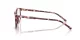 Dolce & Gabbana DG 3424 3440 Dolce & Gabbana DG 3424 3440