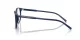 Dolce & Gabbana DG 3426 3009 Dolce & Gabbana DG 3426 3009