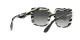 Dolce & Gabbana DG 4414 3372/8G