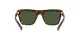 Dolce & Gabbana DG 4420 502/71