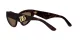 Dolce & Gabbana DG 4439 502/73