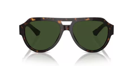 Dolce & Gabbana DG 4466 502/71