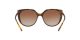 Dolce & Gabbana DG 6119 502/13