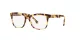 Dolce & Gabbana Kids DX 3356 512 Dolce & Gabbana Kids DX 3356 512