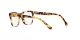 Dolce & Gabbana Kids DX 3356 512 Dolce & Gabbana Kids DX 3356 512