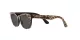 Dolce & Gabbana Kids DX 4427 316387