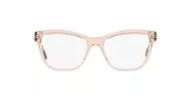 Emporio Armani EA 3193 5544