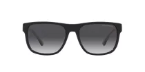 Emporio Armani EA 4163 58758G