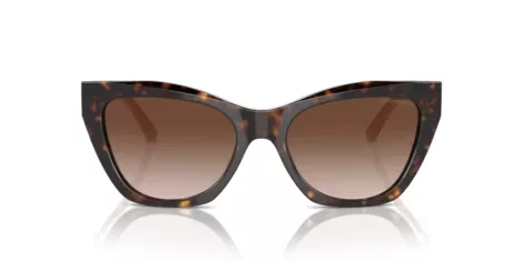 Emporio Armani EA 4176 587913