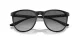 Emporio Armani EA 4210 500111
