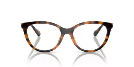 Emporio Armani EA 4213U 50261W