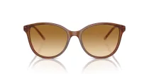 Emporio Armani EA 4220 61103B