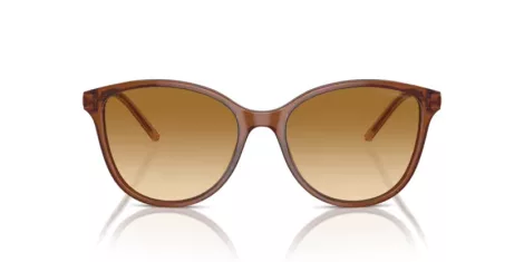 Emporio Armani EA 4220 61103B