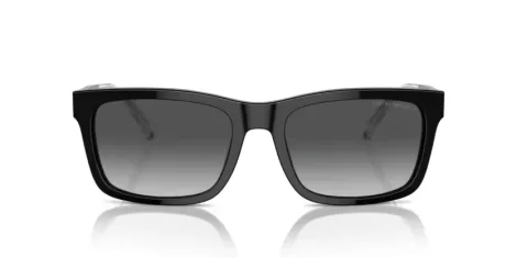 Emporio Armani EA 4224 5017T3