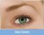 FreshLook Dimensions (2 lentilles)