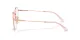 Coach HC 5188TD 9463