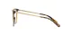 Coach HC 6125 5519 Coach HC 6125 5519