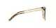 Coach HC 6125 5519 Coach HC 6125 5519