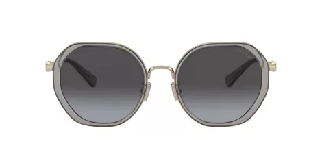 Coach Cd477 HC 7141 90058G