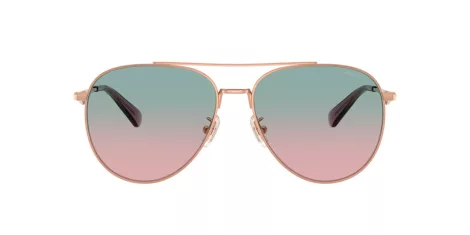 Coach Cw193 HC 7169 93310Q