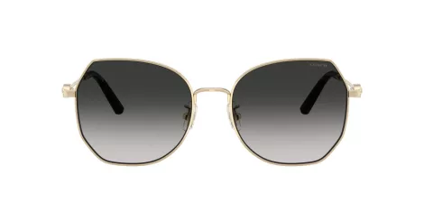 Coach Cad79 HC 7175 90053C